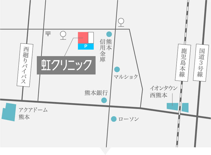 呼吸器外科・消化器内科・循環器内科をお探しなら熊本市南区薄場にある虹クリニックへ